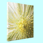 Spring Ivory Floral Detail Canvas canvas prints