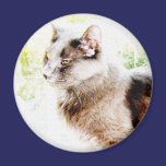 spring kitty friend magnet...
