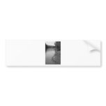 Spring Lake Bumper Sticker