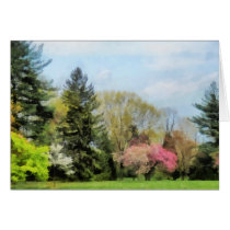 Spring Landscape cards