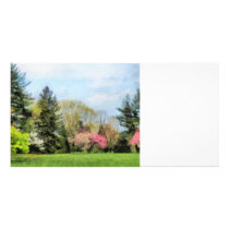 Spring Landscape photo cards