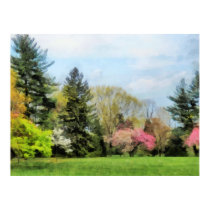 Spring Landscape posters