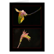 Spring leaves cards