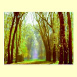 Spring Light postcards