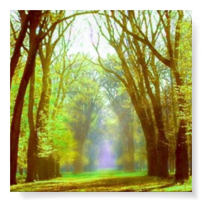 Spring Light Poster by elena_indolfi