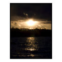 Spring Light posters