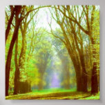 Spring Light Poster
