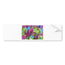 Spring lilac bumper sticker