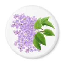 Spring Lilacs Magnet