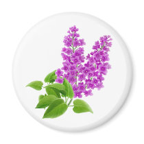 Spring Lilacs Magnet by twopurringcats Spring Lilacs Magnet