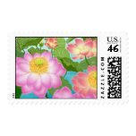 Spring Lotus Water Lilies Postage