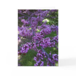 Spring Love Greeting Card