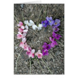 Spring Love in Purple Cards