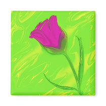 Spring magnet magnets