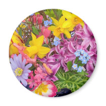 spring magnets