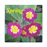 Spring magnet