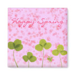 Spring Magnet magnets