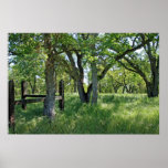 "Spring Meadow" posters