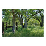 "Spring Meadow" Poster