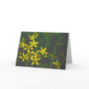 Spring Melody cards by riverme Spring Melody cards