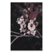 Spring Memories 2 Stationery