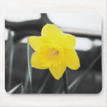Spring Mouse Mat