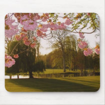 Spring mousepads