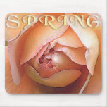 SPRING MOUSE MATS