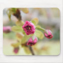Spring mousepads by charliesmom14 Spring mousepads