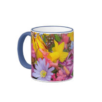 SPRING mugs