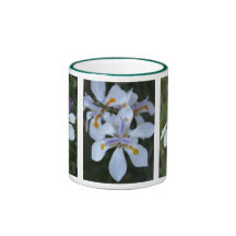 Spring Mug