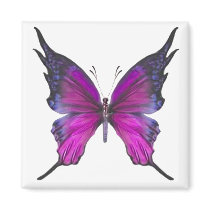 Spring Myst 3 magnets