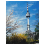 Spring, Namsan Tower, Seoul, South Korea Flyer Design