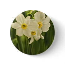 Spring Narcissus (Daffodil) Flower Photograph