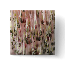 spring now buttons