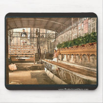 Spring of the Celestins, I, interior, Vichy, Franc Mouse Pads