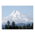 Spring on Mt Hood Poster print
