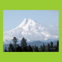 Spring on Mt Hood Poster posters