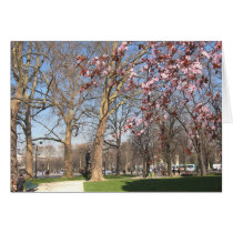 Spring on the Champs-Elysées cards