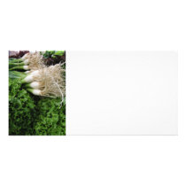 Spring onions and lettuce customized photo card