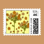 Spring Orange stamps