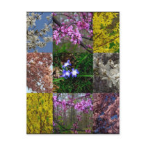 Spring Patchwork Postcard by MarDar Spring Patchwork Postcard