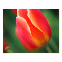 Spring Photo Print