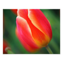 Spring Photo Print