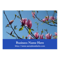 spring pink magnolia flowers business cards