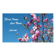 Spring pink magnolia flowers in blue sky business card templates
