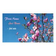 Spring pink magnolia flowers in blue sky business cards