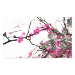 Spring Pink Sticker
