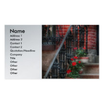 Spring - Porch - Hoboken, NJ - Geraniums on stairs Business Card Template