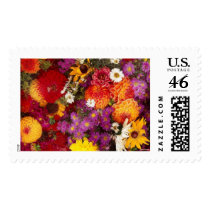 SPRING postage